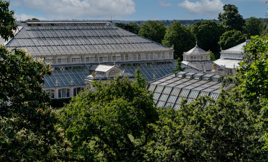 A view of a large Victorian-style glass conservatory with a metal framework, surrounded by lush green trees and foliage, situated in an outdoor area during daytime. The conservatory features multiple sections with pitched glass roofs and ornate architectural details, with some parts partially obscured by trees. The scene includes a walkway or driveway nearby, with no visible vehicles or people, illustrating a typical setting for a house removal or furniture transport process in the Alexandra Palace-area. The natural lighting highlights the transparency of the glass structures and the vibrant greenery around them, aligning with the themes of moving logistics and home relocation as handled by Man with Van Fortis Green.