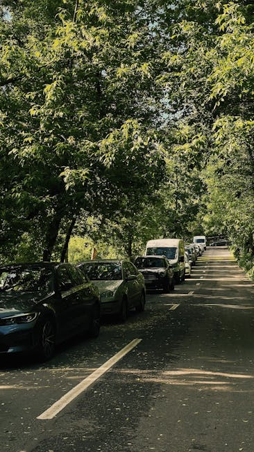 A residential street scene with multiple parked cars lining both sides of the road, including a dark-colored car on the left and several white and silver vehicles extending into the distance. Tall, leafy trees with dense green foliage overhang the street, partly shading the vehicles and roadway. The pavement features white dashed lines marking parking spaces, and shadows from the trees create dappled lighting on the road surface. The scene appears calm and typical of a suburban area, with no visible pedestrians or moving traffic. This setting may be relevant for house removals or relocation services such as those provided by Man with Van Fortis Green, highlighting the typical environment for home relocation logistics or furniture transport in a leafy residential neighbourhood.