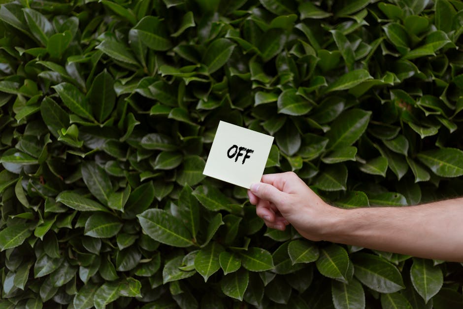 A person's hand holding a small white card with the word 'OFF' written in black ink, positioned in front of a dense hedge of dark green, glossy leaves. The hand is extending from the right side of the image, and the card is held upright. The hedge serves as a natural backdrop, suggesting an outdoor environment. This scene may relate to a property or garden area during a home relocation or removal process, which is relevant for house removals and moving services offered by Man with Van Fortis Green. The lighting appears natural, and the overall composition emphasizes the contrast between the white card and the vibrant foliage, reflecting the themes of packaging and preparatory steps involved in furniture transport and moving logistics.